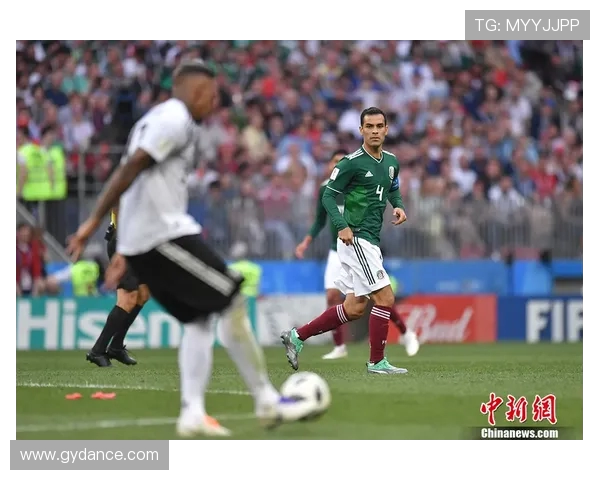 世界杯历史上单届比赛扑救次数最多的门将